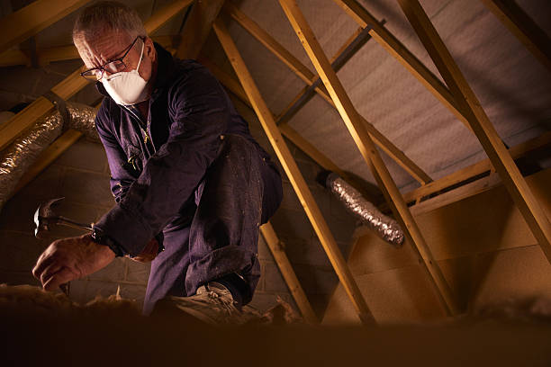 Best Insulation for Specific Applications in Kihei, HI